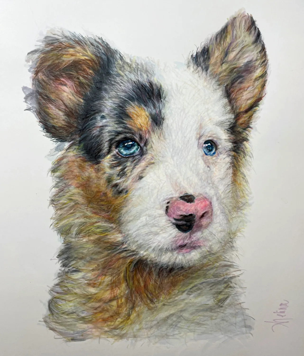 Pet portrait commission