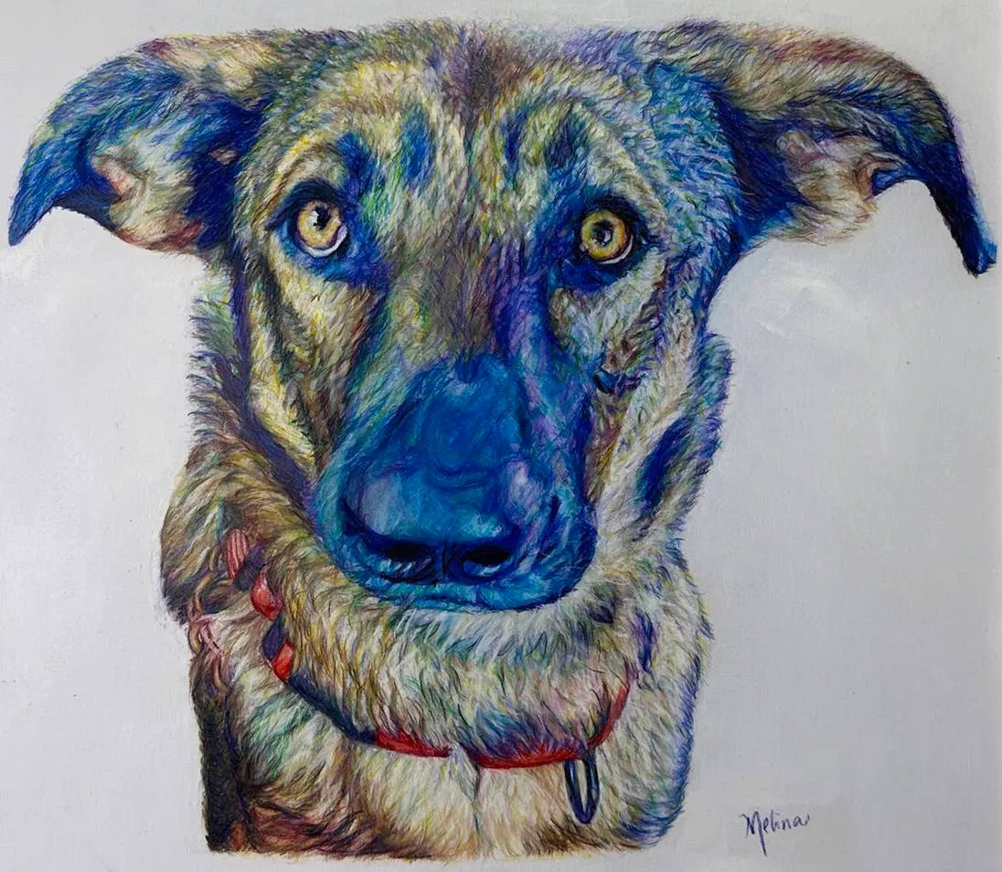 Pet portrait commission