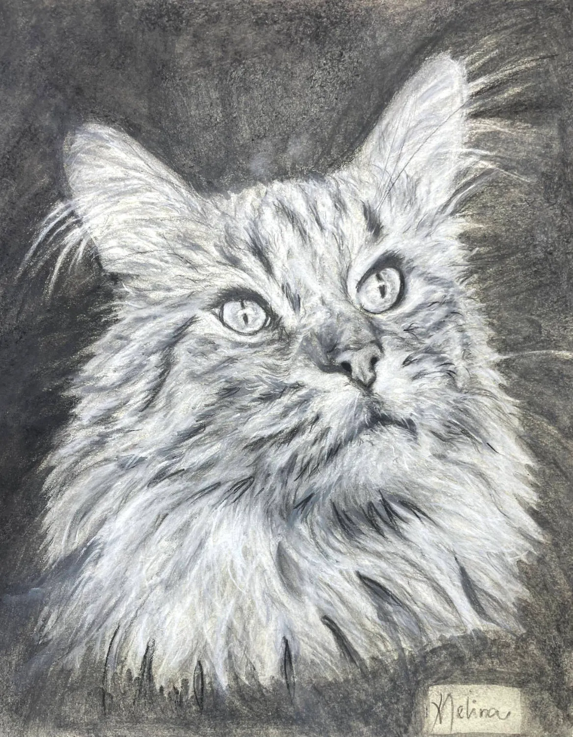Pet portrait commission